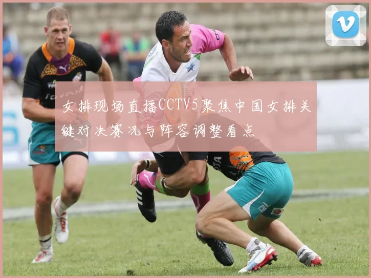 女排现场直播CCTV5聚焦中国女排关键对决赛况与阵容调整看点